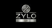 Zylo SA - Home